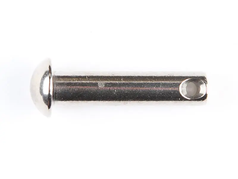 Rigbolt 8x31mm