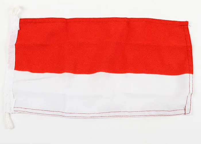 Gæsteflag Polen