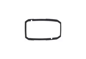 Garmin Flush-sats Striker 4