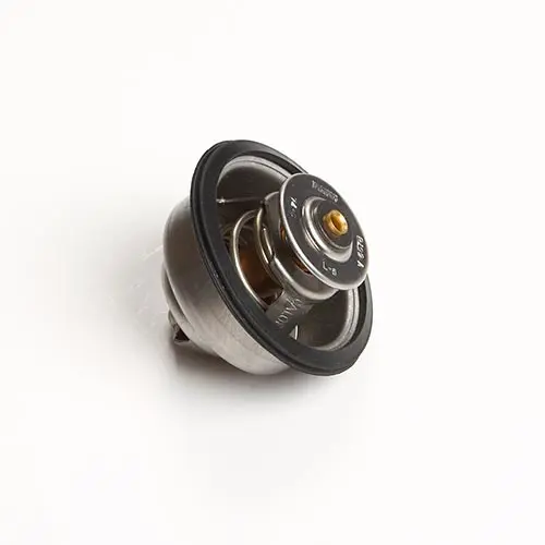 Termostat 2001-2003 (75°)