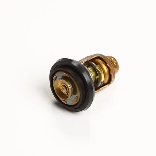 Termostat Yanmar (74°)