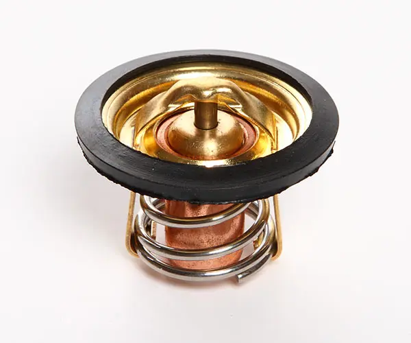 Termostat MD5 (75°)
