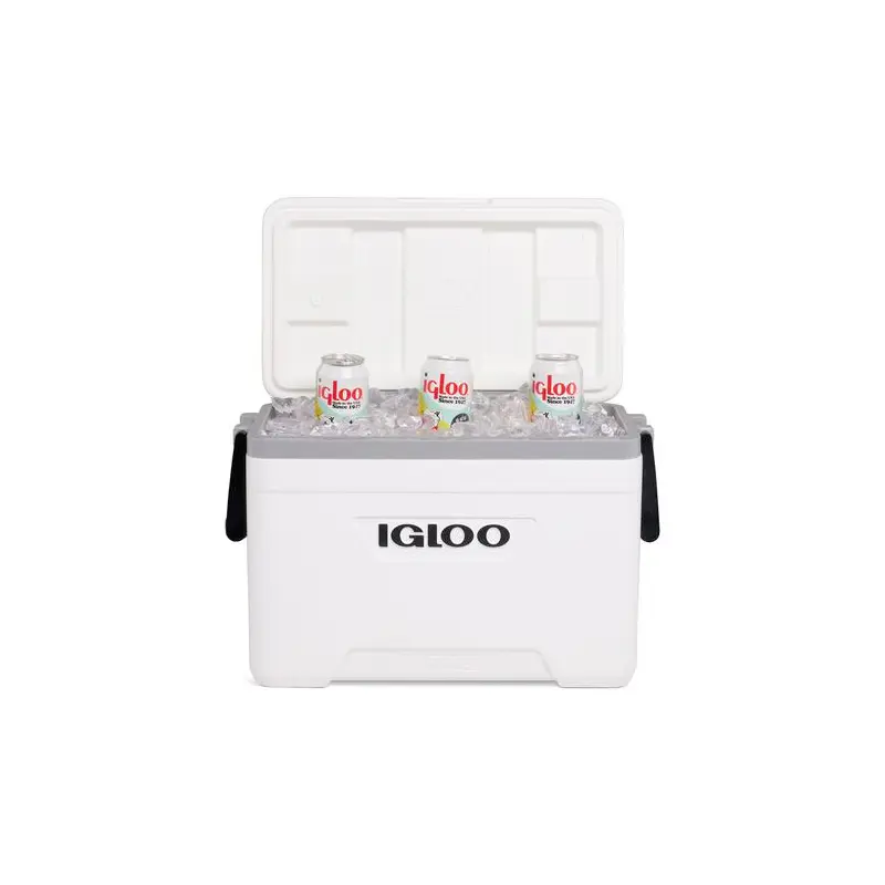 Product Image for Igloo marin køleboks 25qt 23lit