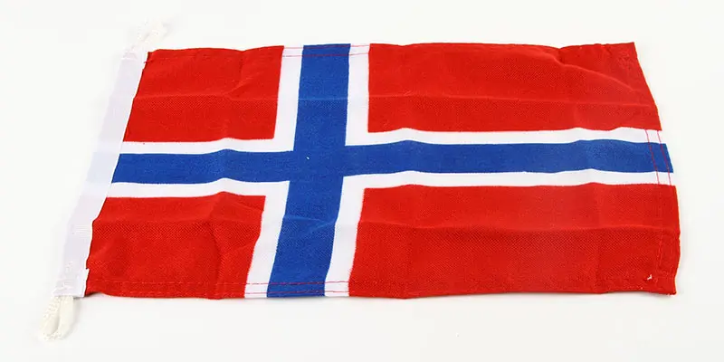 Product Image for Gæsteflag norge