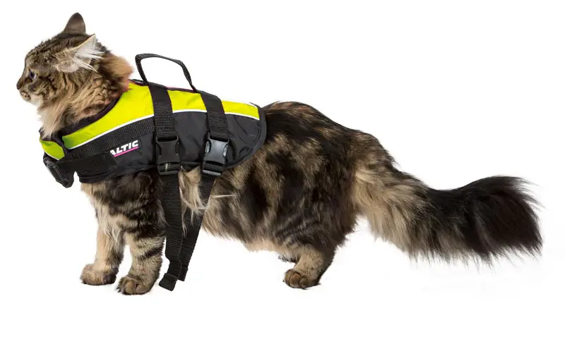Product Image for Baltic kattevest maja gul m 3-7kg